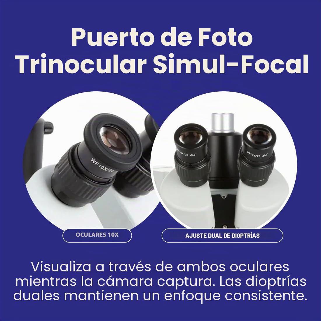 Microscopio estereoscópico AmScope SM-4TPZ con soporte de brazo doble